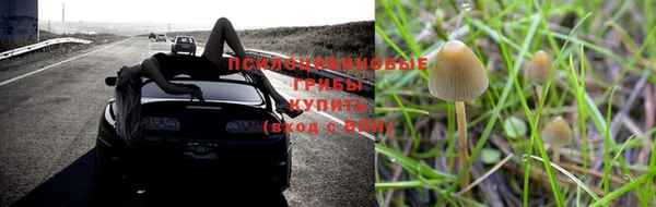 дживик Алексеевка