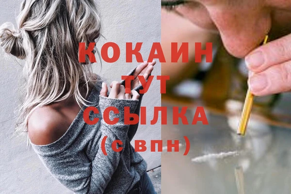 твердый Алексин